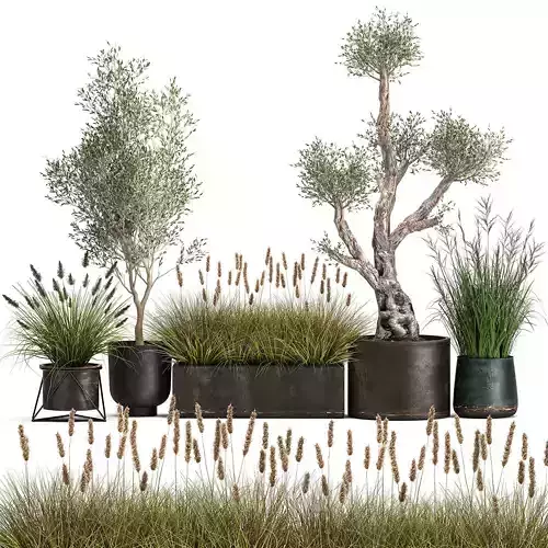 Outdoor plants in a rust flowerpot for the interior 1000