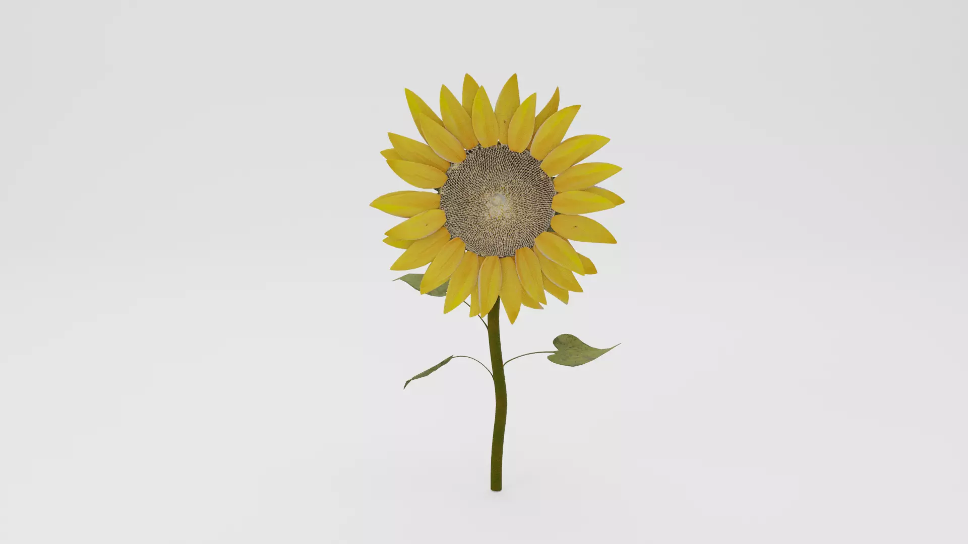 Sunflower Low-poly 3D model_0