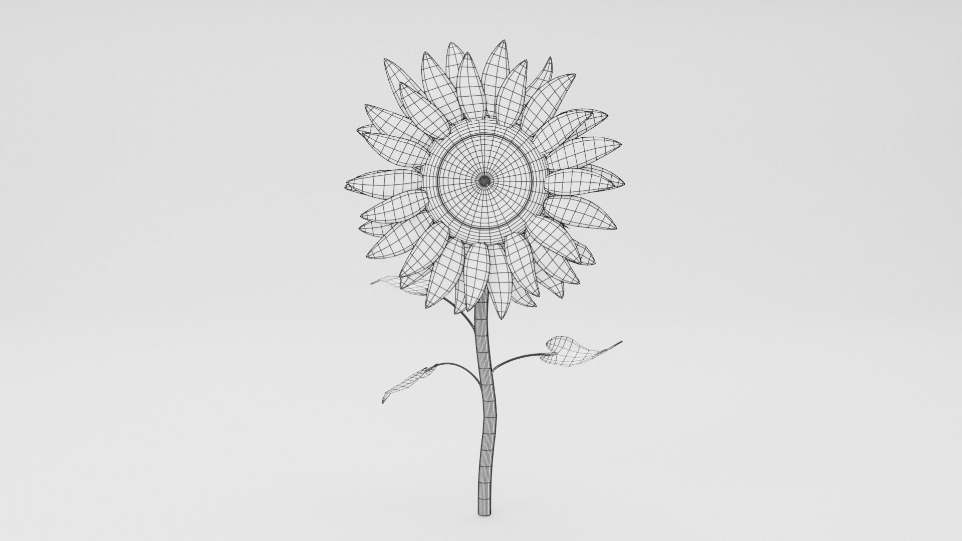 Sunflower Low-poly 3D model_6
