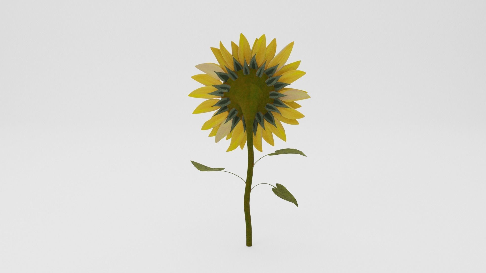 Sunflower Low-poly 3D model_3