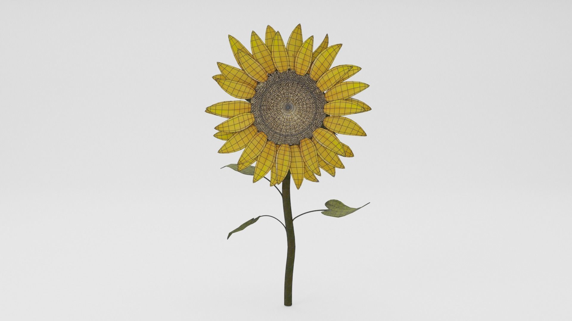 Sunflower Low-poly 3D model_5