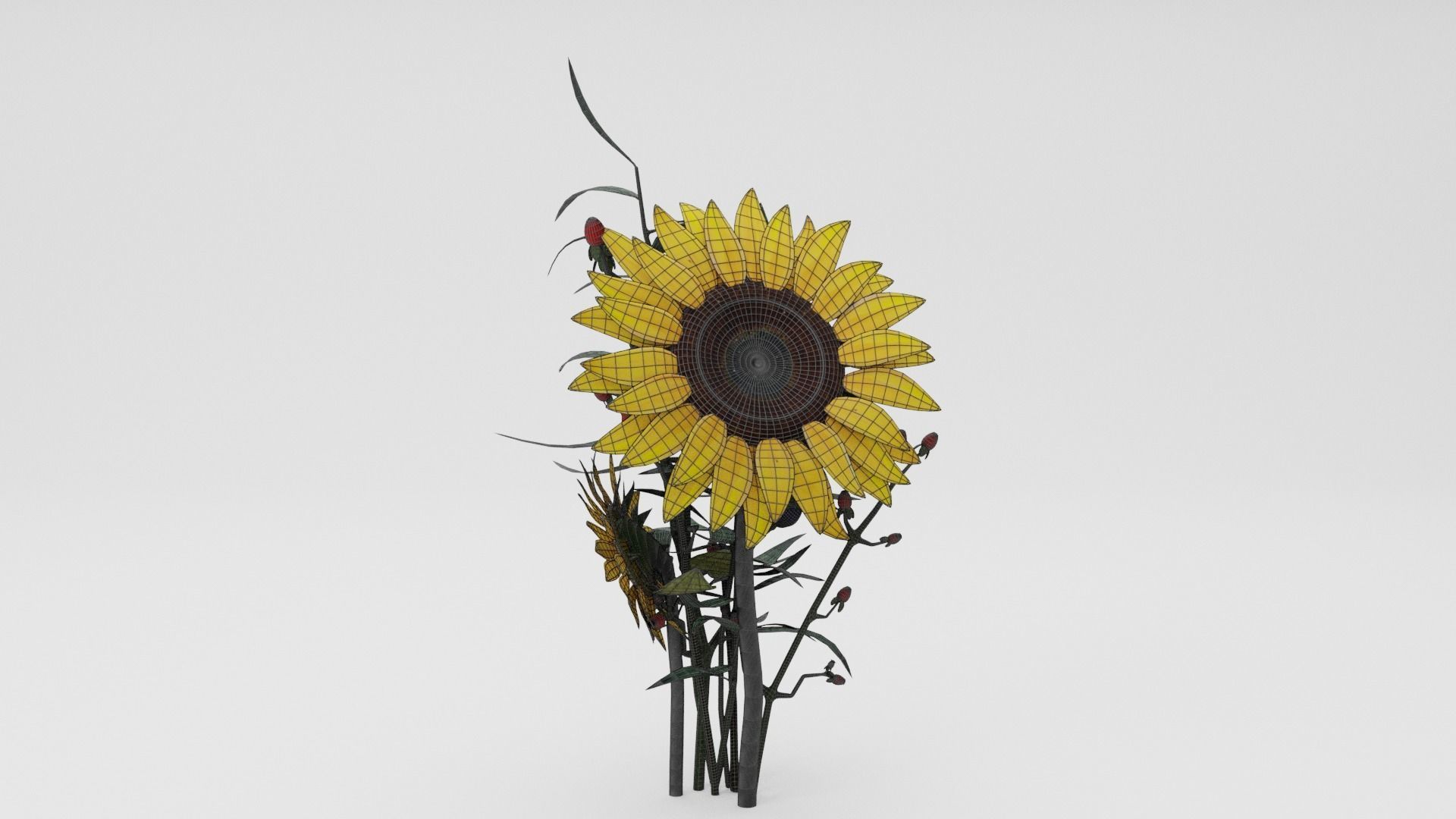 Sunflower Bouquet Low-poly 3D model_5