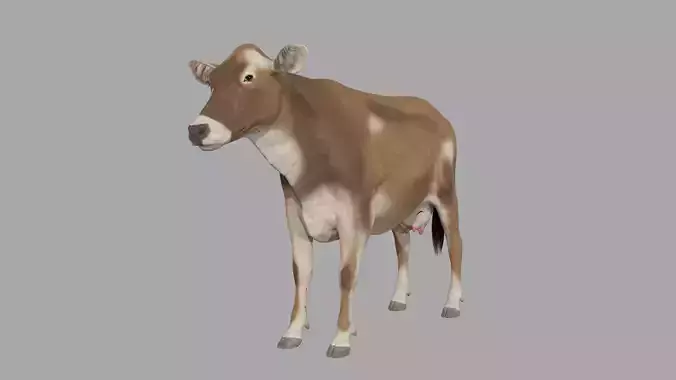 Cattle cow 3D model