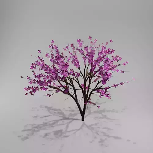Sakura tree 3D model