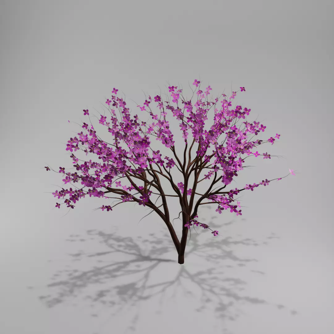 Sakura tree 3D model 3D model