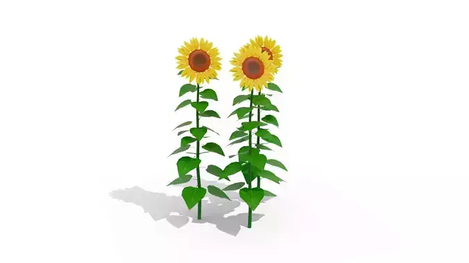 3D Stylized Sunflower Low-poly 3D model