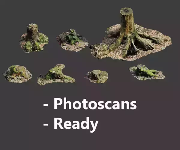 Tree Stump Dead Roots Scanned Collection  Processed 