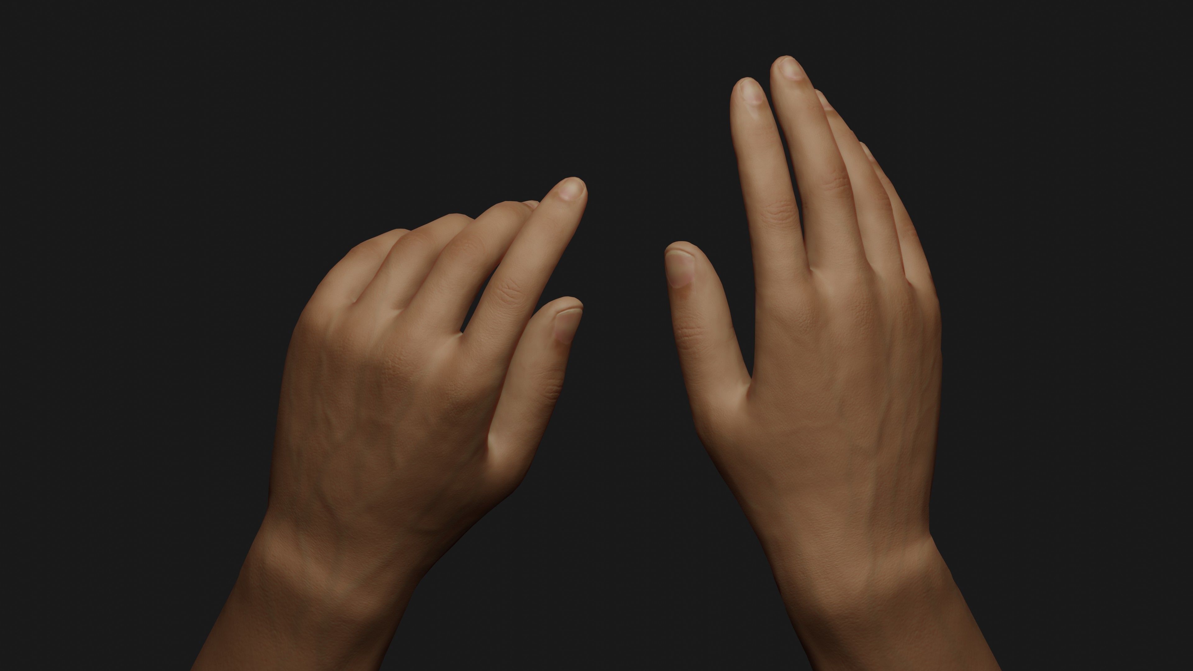 Male Hands Rigged Low-poly 3D model_16