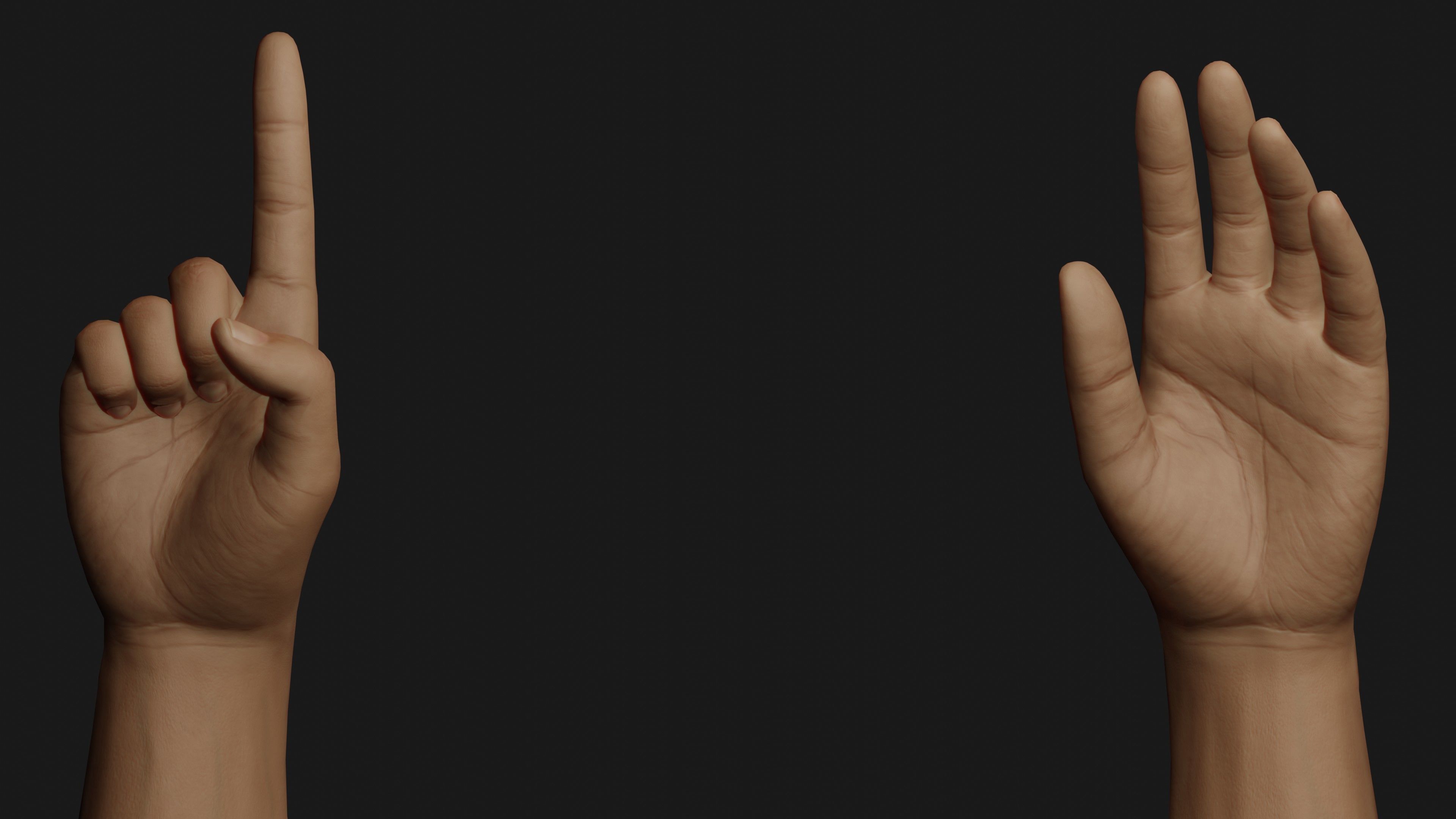 Male Hands Rigged Low-poly 3D model_10