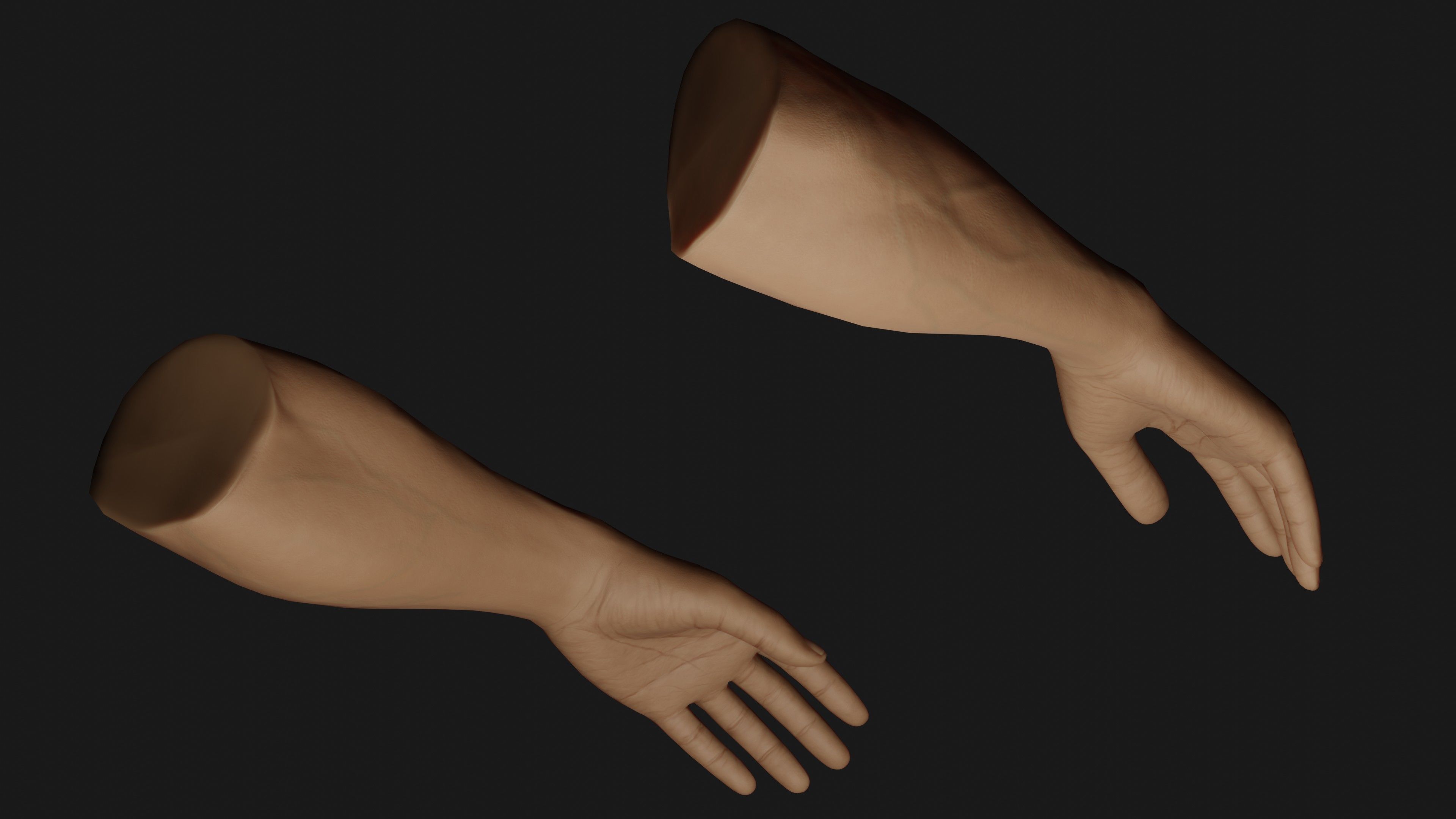 Male Hands Rigged Low-poly 3D model_21