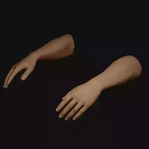 Male Hands Rigged Low-poly 3D model