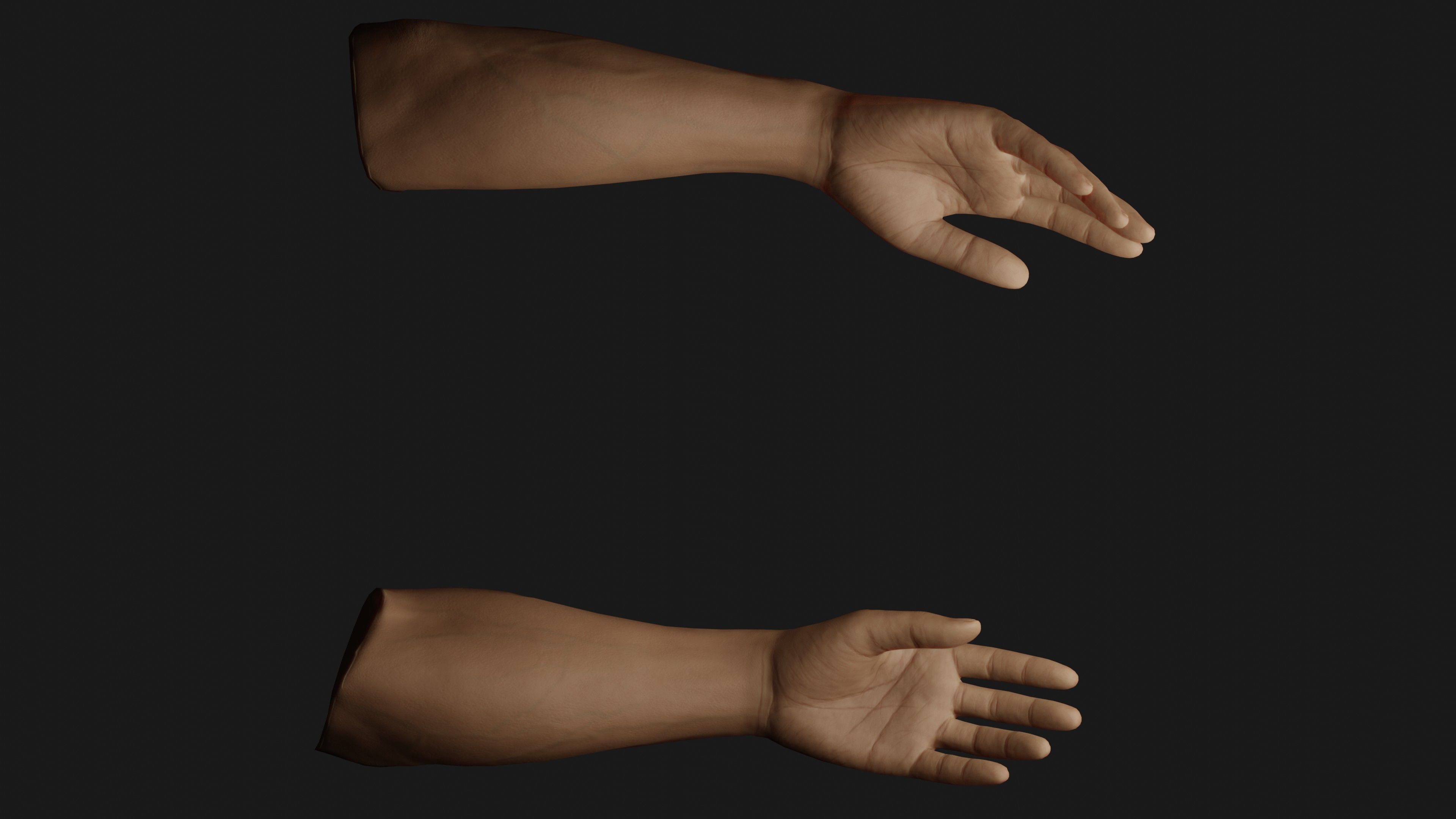 Male Hands Rigged Low-poly 3D model_19