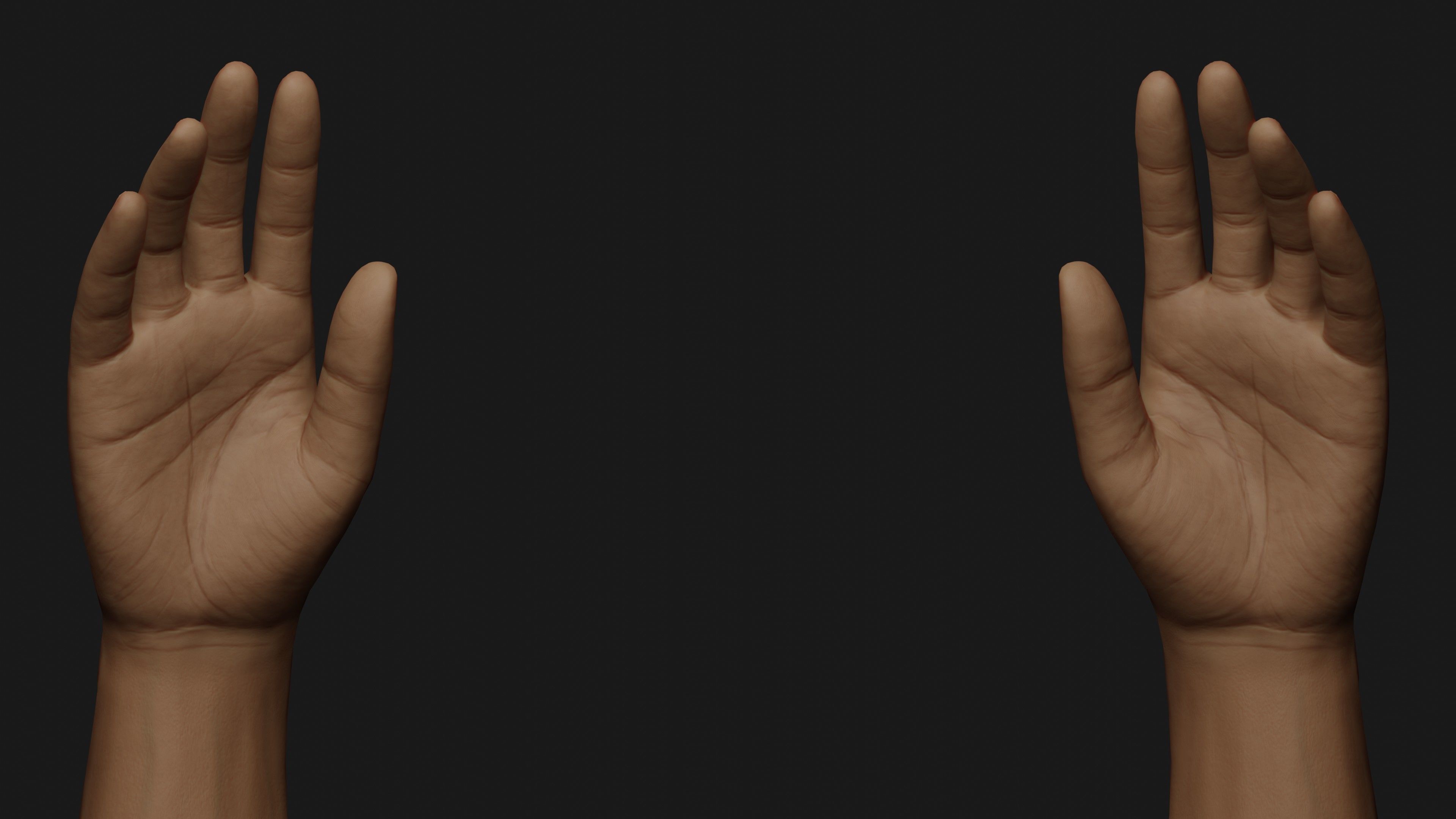 Male Hands Rigged Low-poly 3D model_11