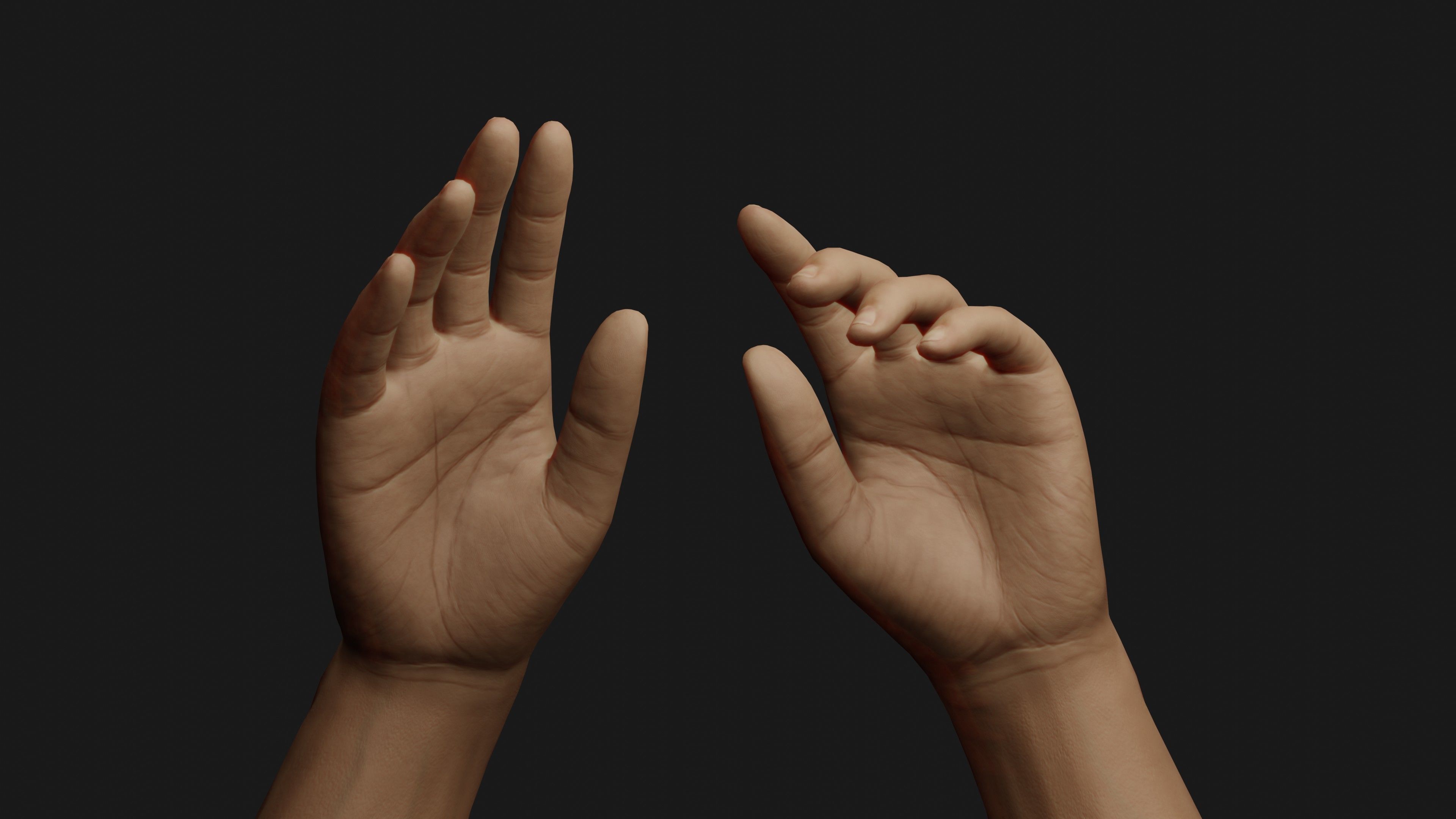 Male Hands Rigged Low-poly 3D model_15