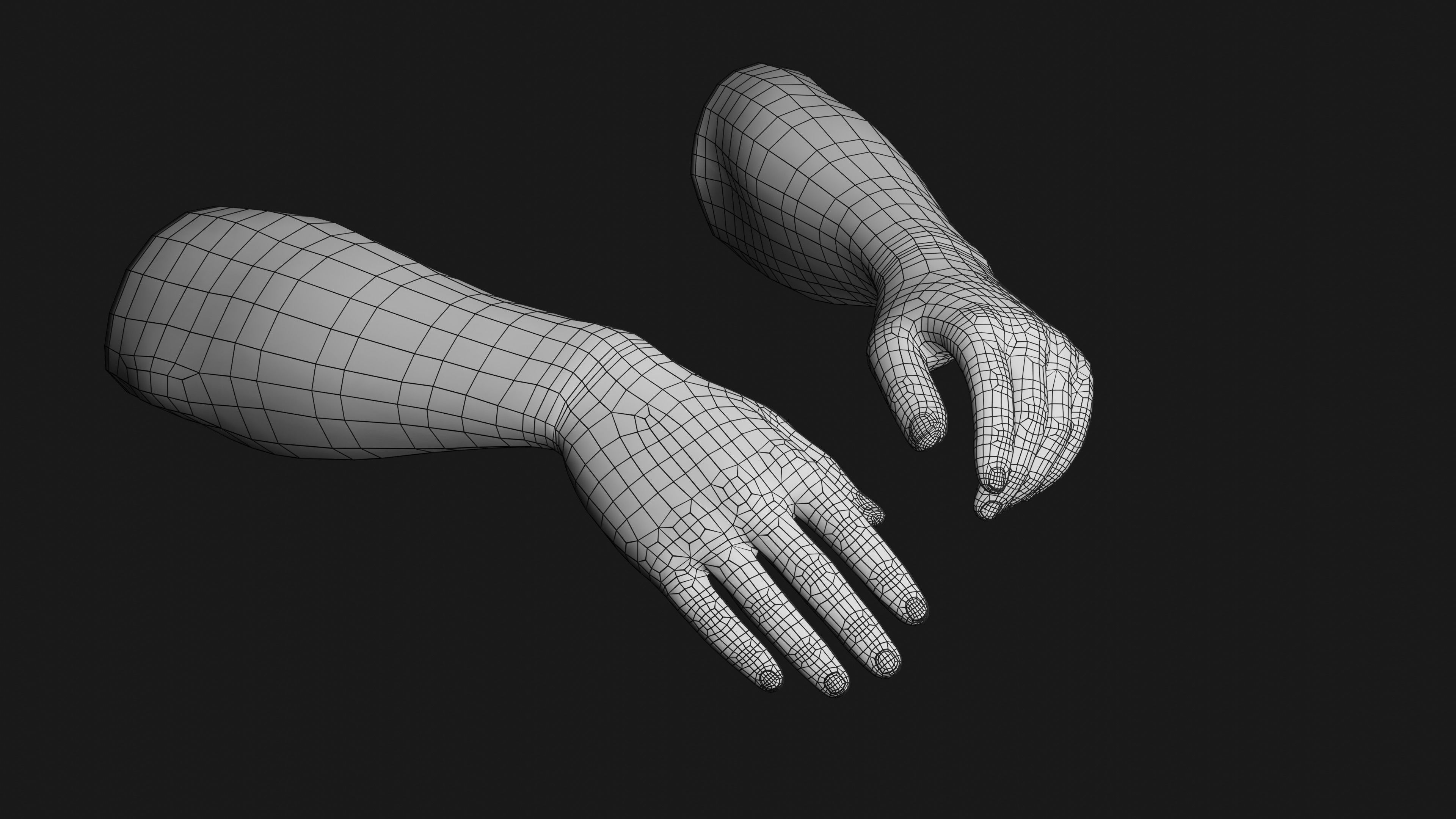 Male Hands Rigged Low-poly 3D model_39
