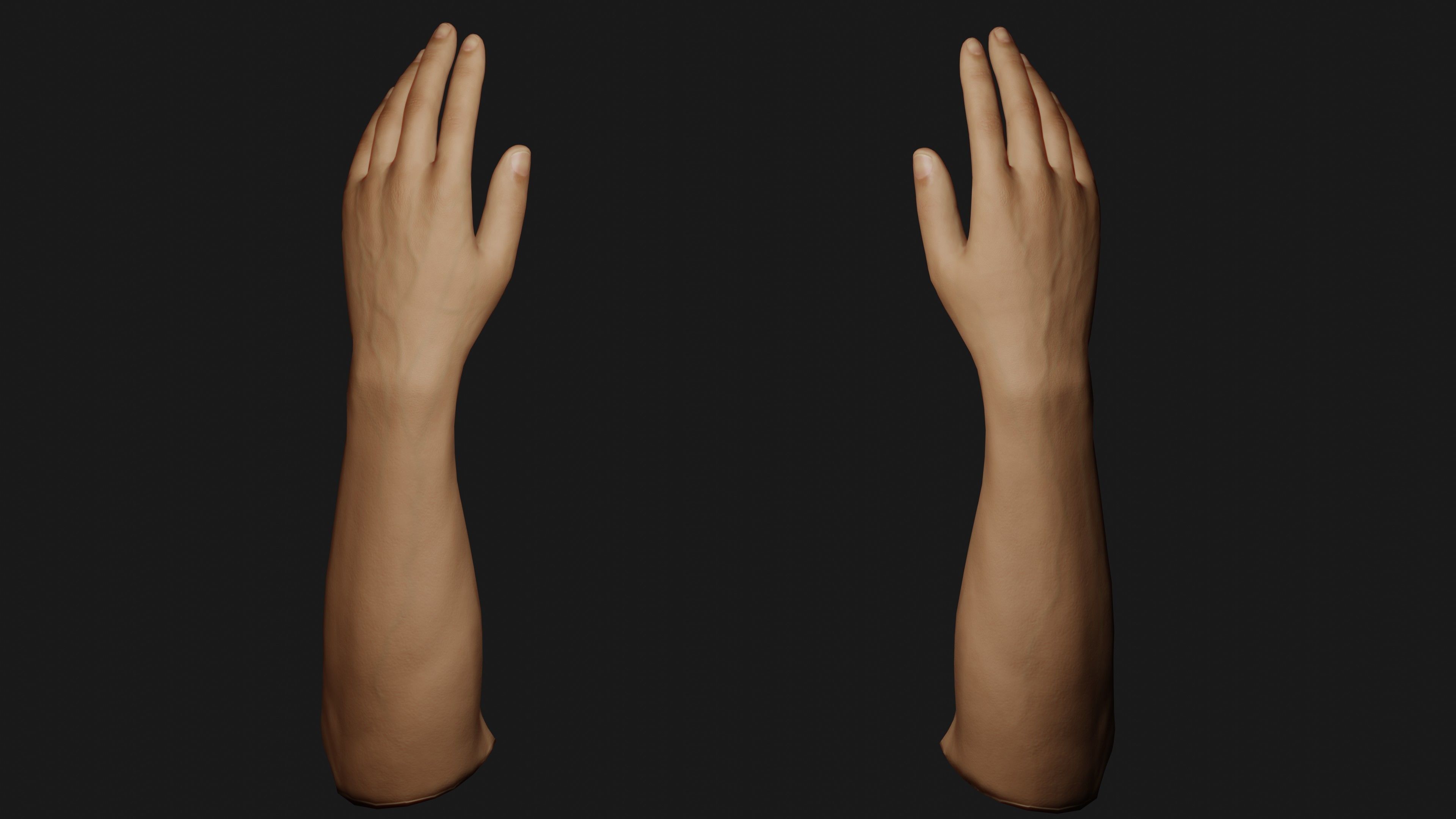 Male Hands Rigged Low-poly 3D model_4