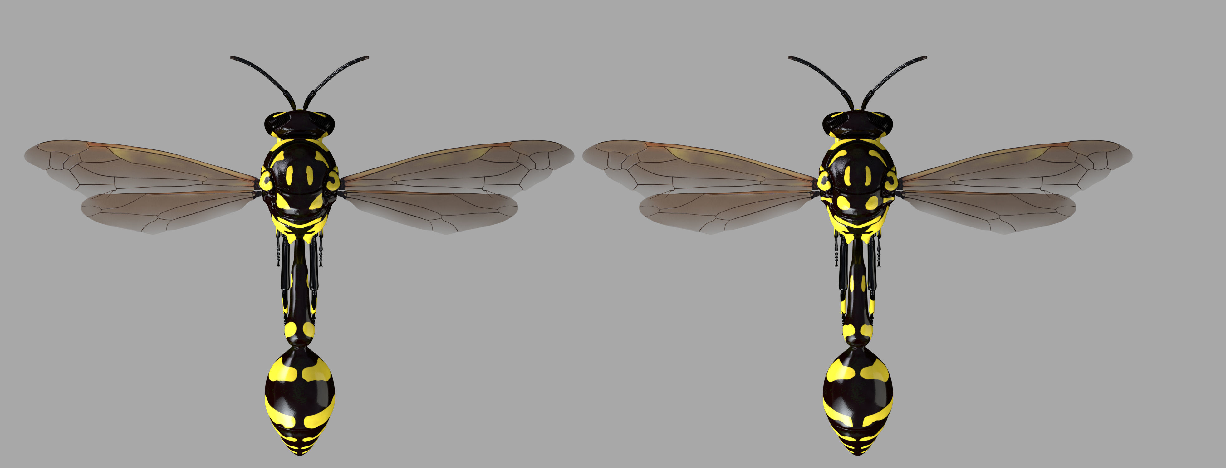 Potter or Mason Wasp 3D model_7