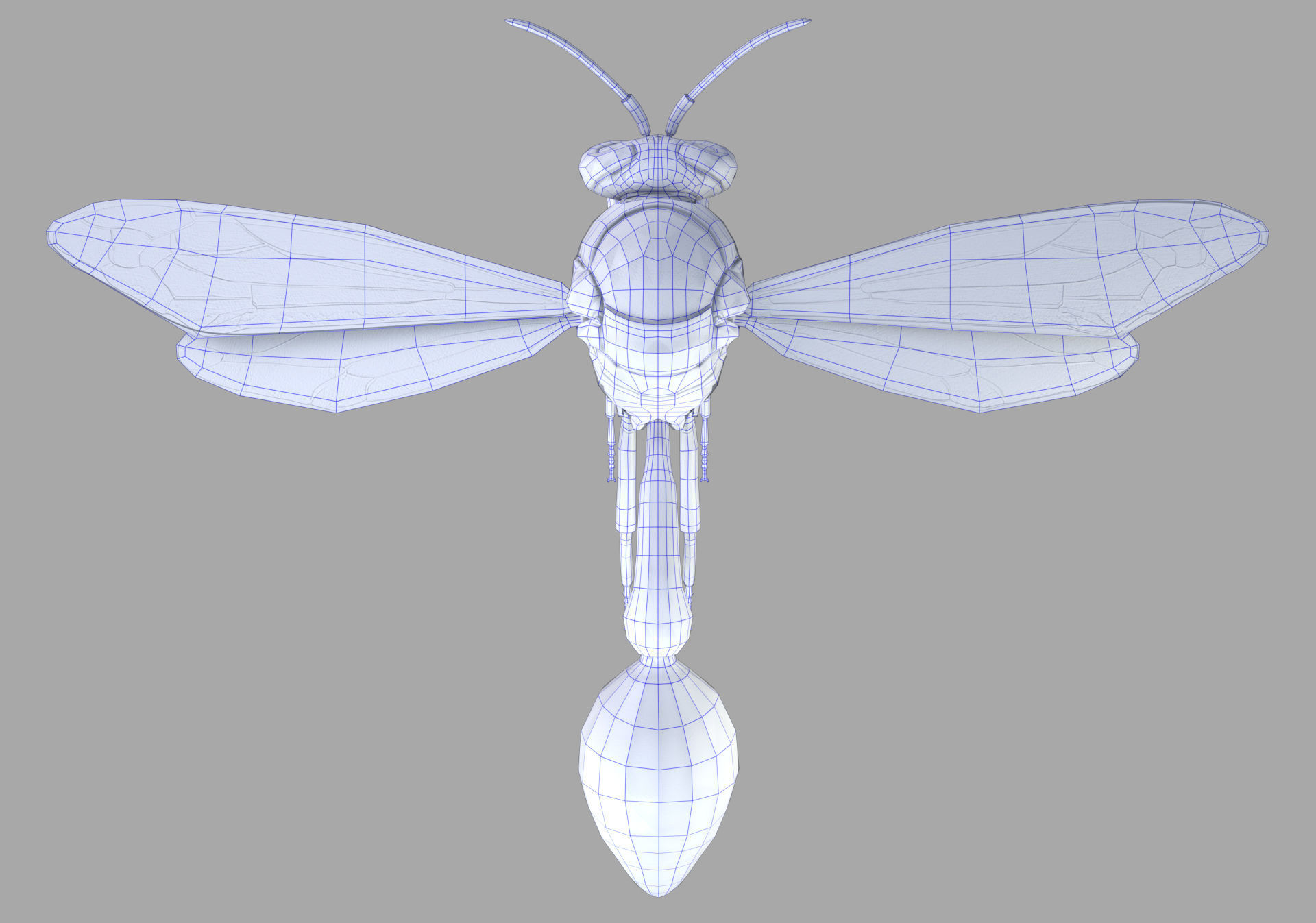 Potter or Mason Wasp 3D model_9