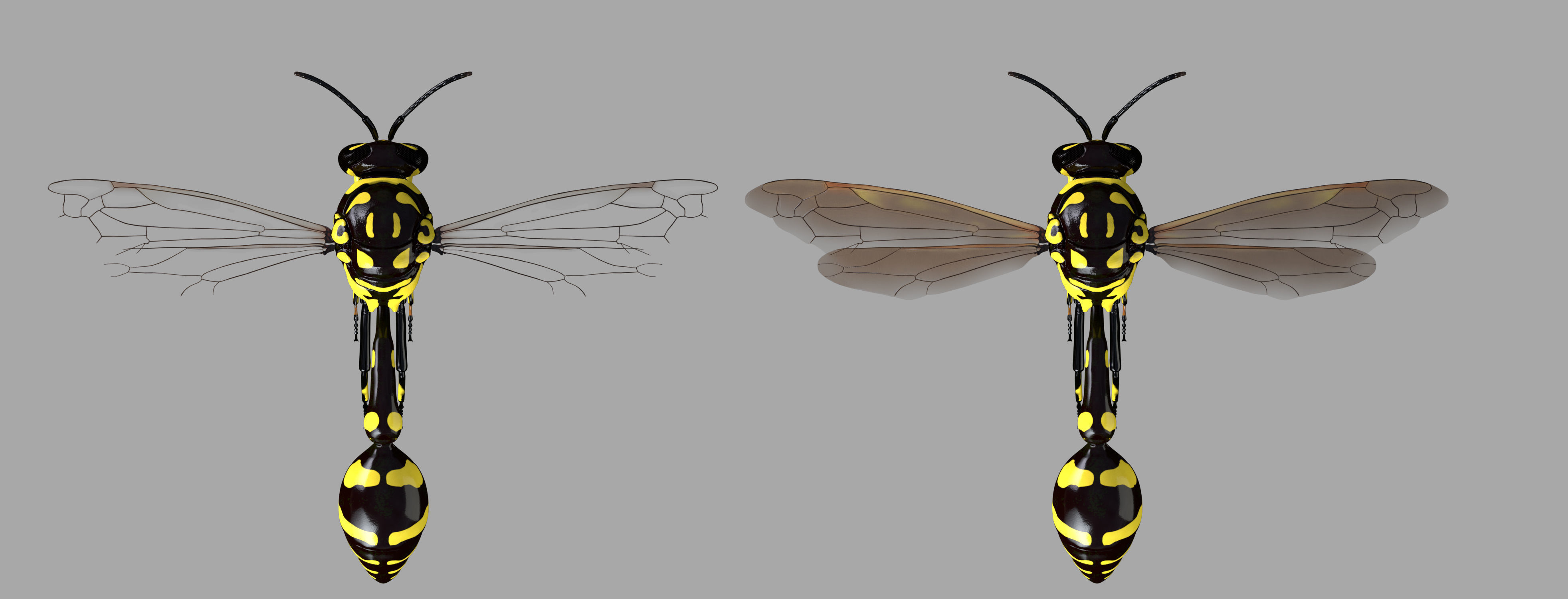 Potter or Mason Wasp 3D model_8