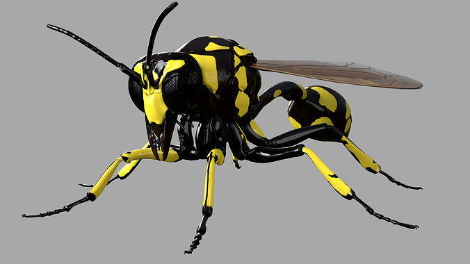 Potter or Mason Wasp 3D model