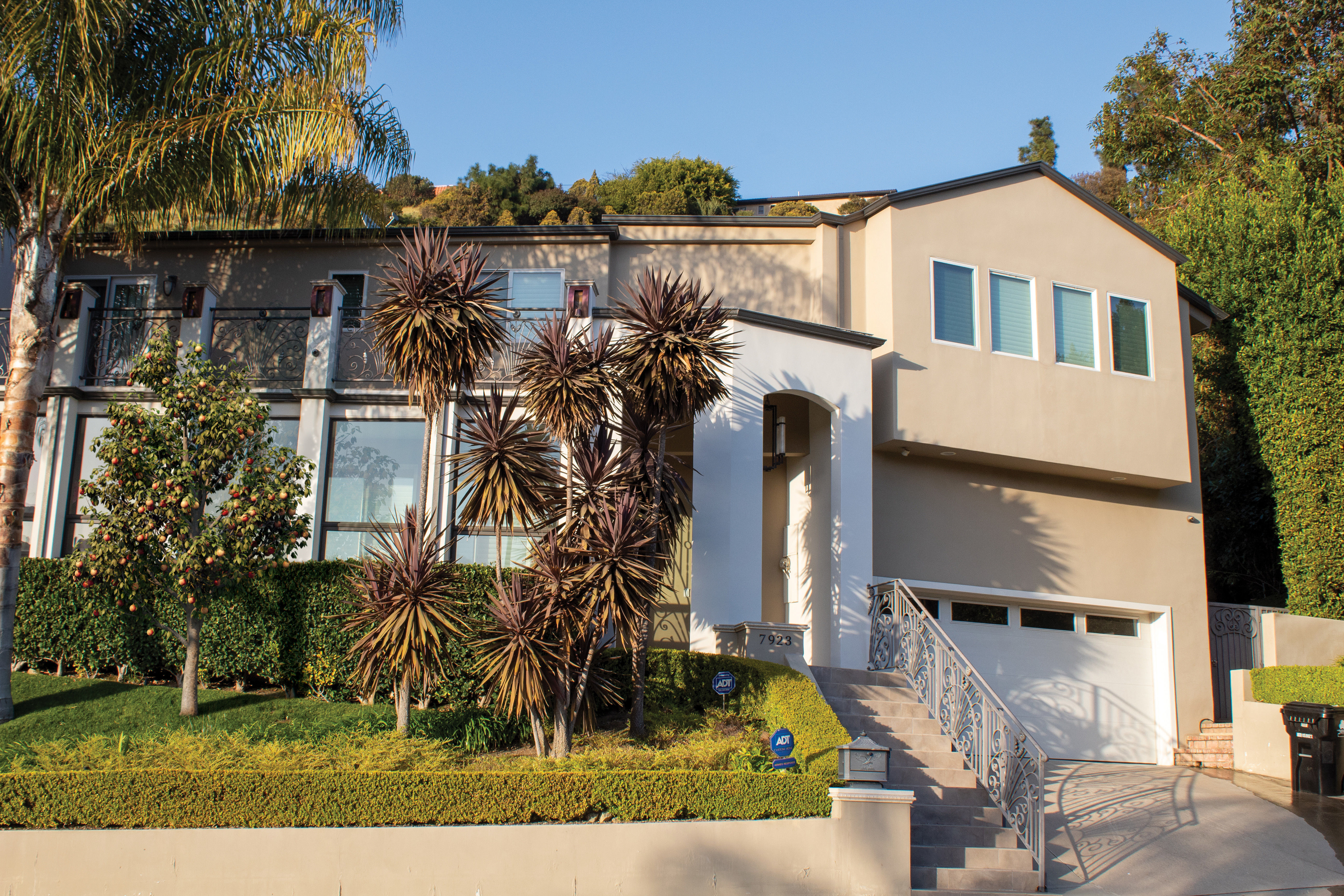 2021 PBR Apple Tree Collection - Malus Domestica  3D model_2