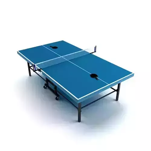Ping Pong Table