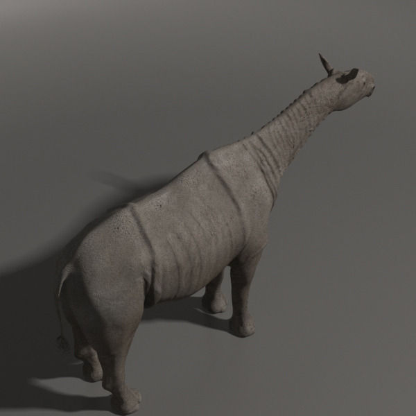 Indricotherium 3D - Pre-historic mammal 3D model_6