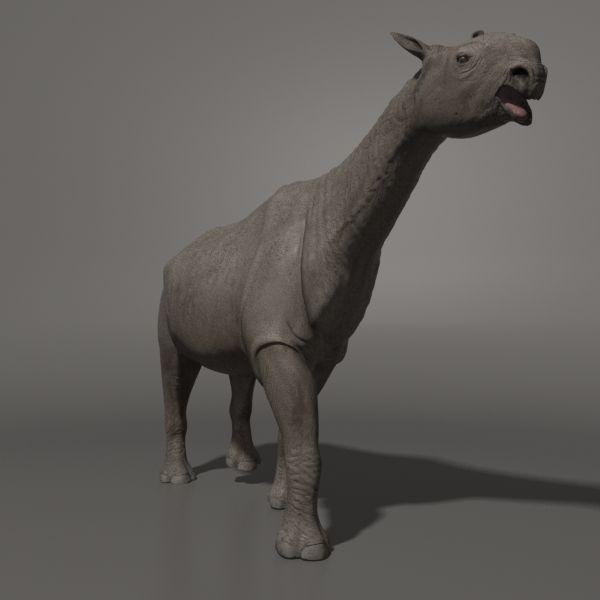 Indricotherium 3D - Pre-historic mammal 3D model_3