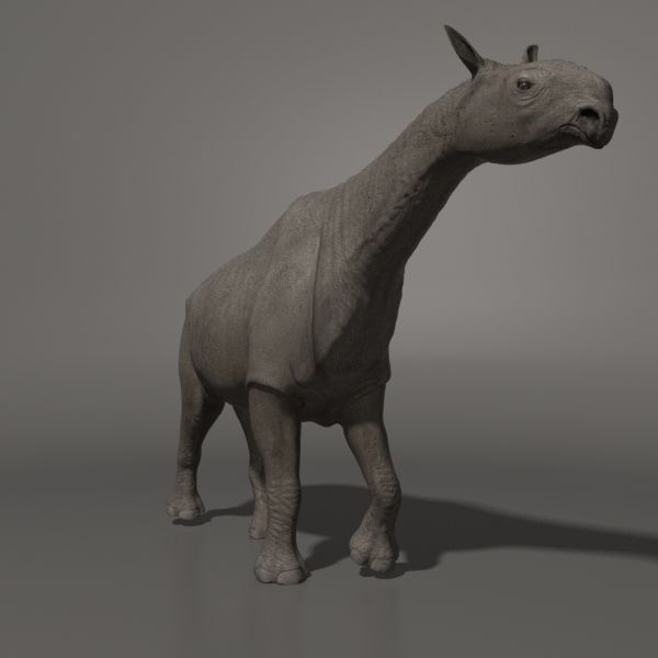Indricotherium 3D - Pre-historic mammal 3D model_26