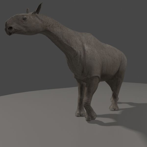 Indricotherium 3D - Pre-historic mammal 3D model_20