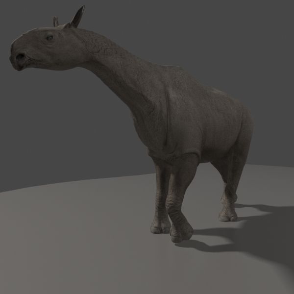 Indricotherium 3D - Pre-historic mammal 3D model_8
