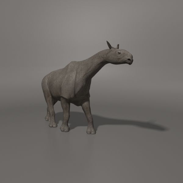 Indricotherium 3D - Pre-historic mammal 3D model_9