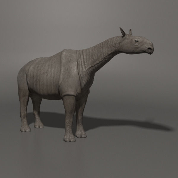 Indricotherium 3D - Pre-historic mammal 3D model_2