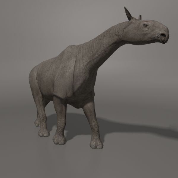 Indricotherium 3D - Pre-historic mammal 3D model_15
