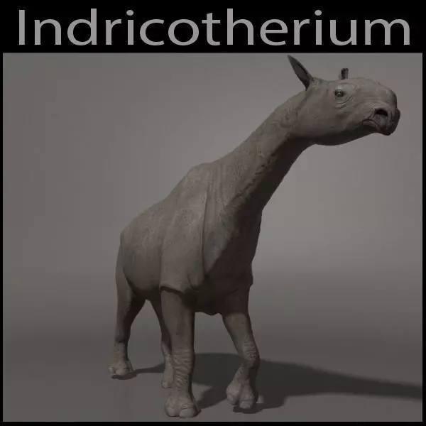 Indricotherium 3D - Pre-historic mammal 3D model_0