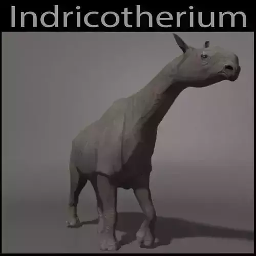 Indricotherium 3D - Pre-historic mammal 3D model