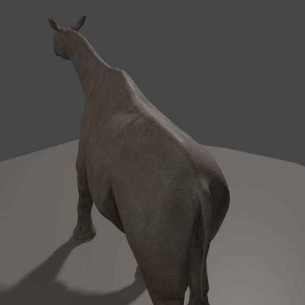 Indricotherium 3D - Pre-historic mammal 3D model_18