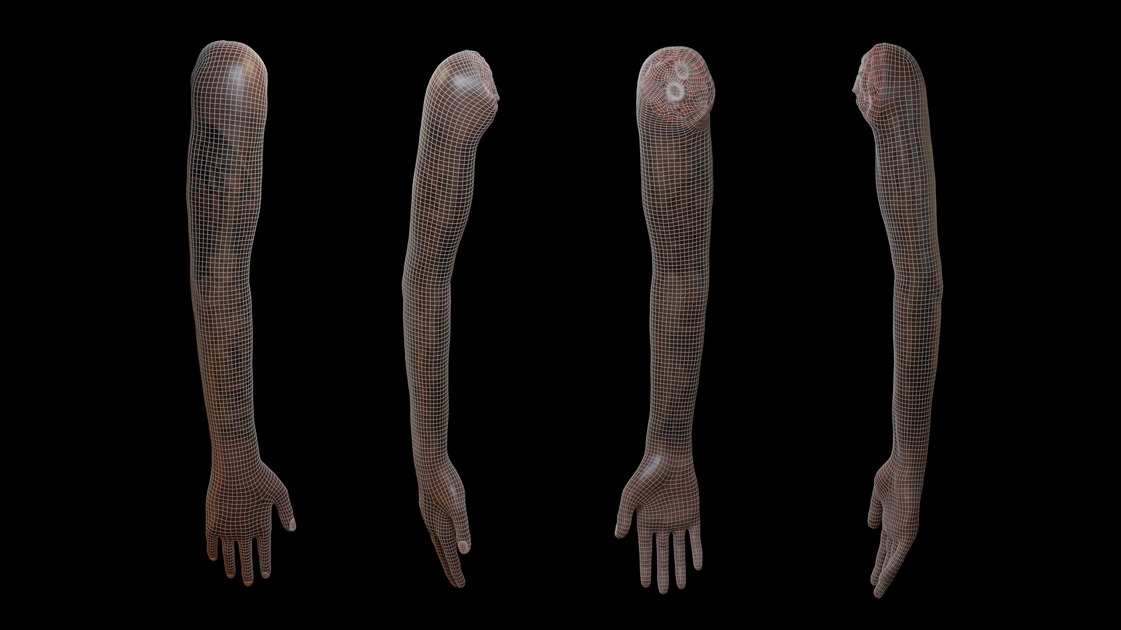 Severed Arm - Rigged Low-poly 3D model_9
