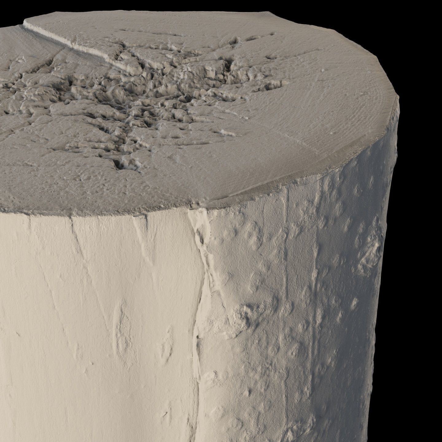 Fir stump for splitting firewood Low-poly 3D model_9