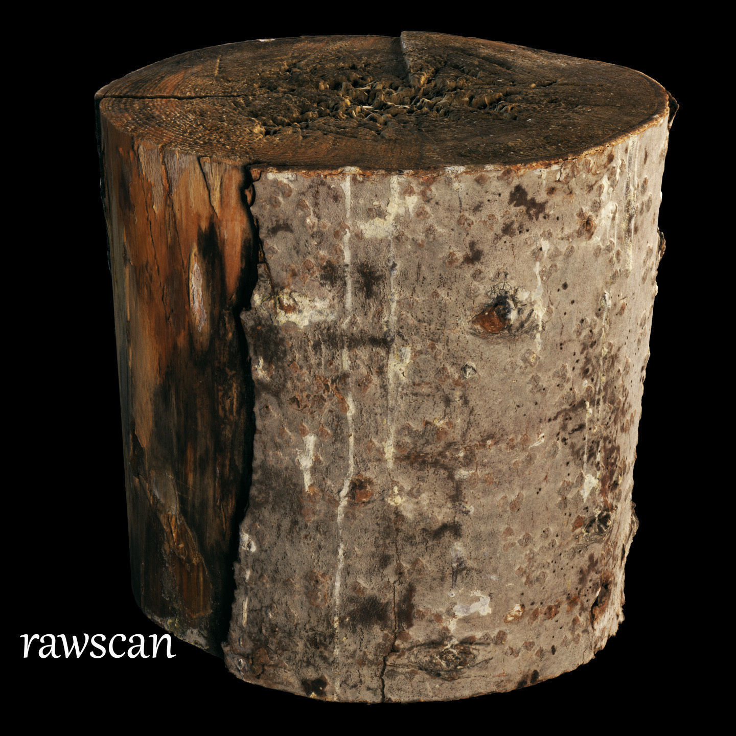 Fir stump for splitting firewood Low-poly 3D model_22