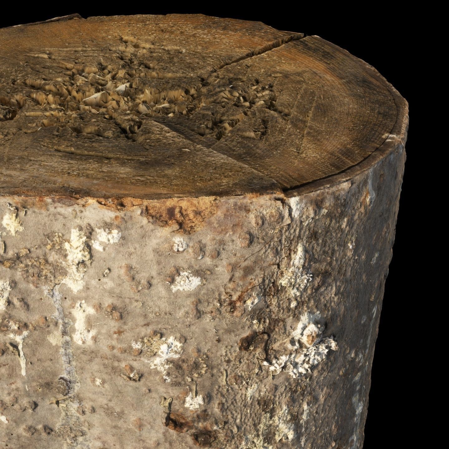 Fir stump for splitting firewood Low-poly 3D model_2