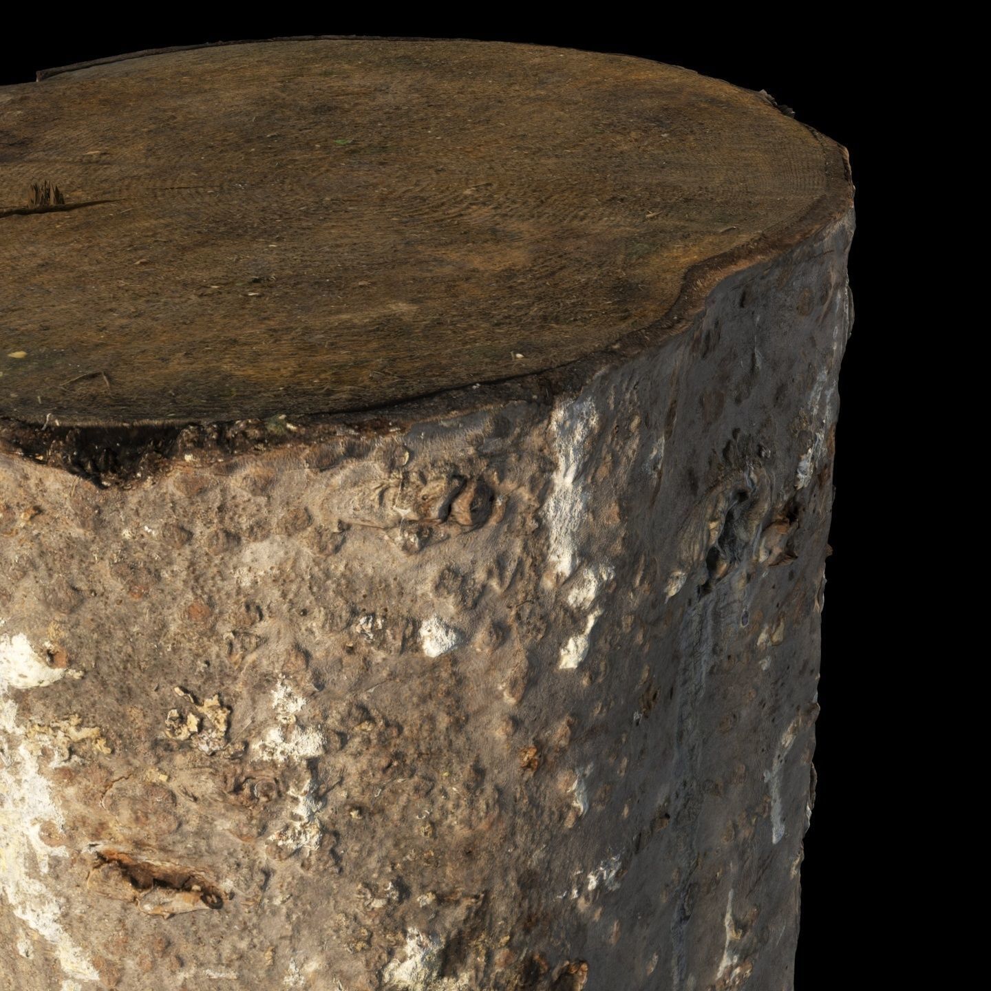 Fir stump for splitting firewood Low-poly 3D model_11