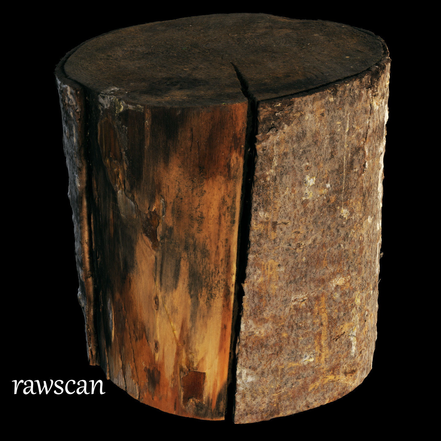 Fir stump for splitting firewood Low-poly 3D model_17