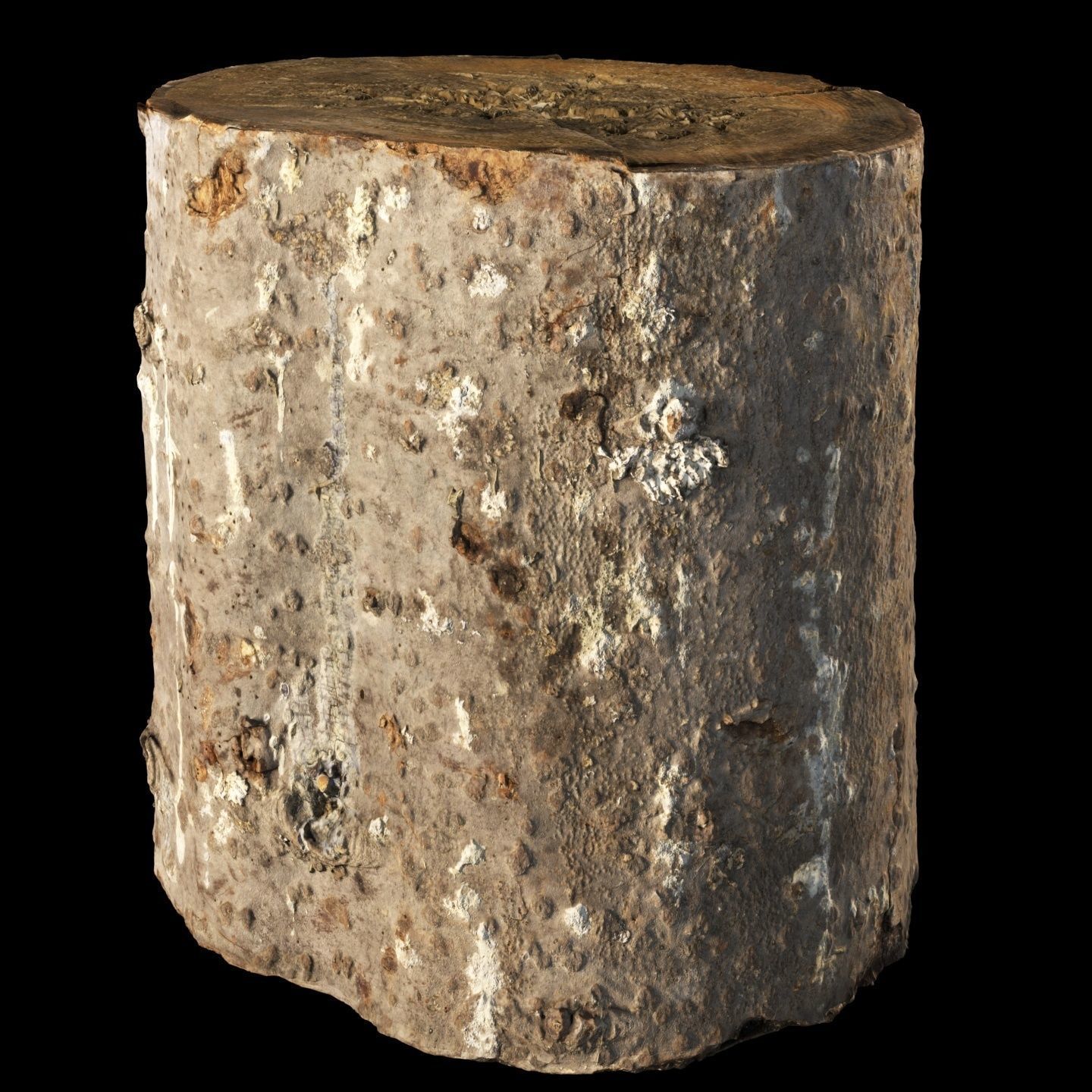 Fir stump for splitting firewood Low-poly 3D model_7