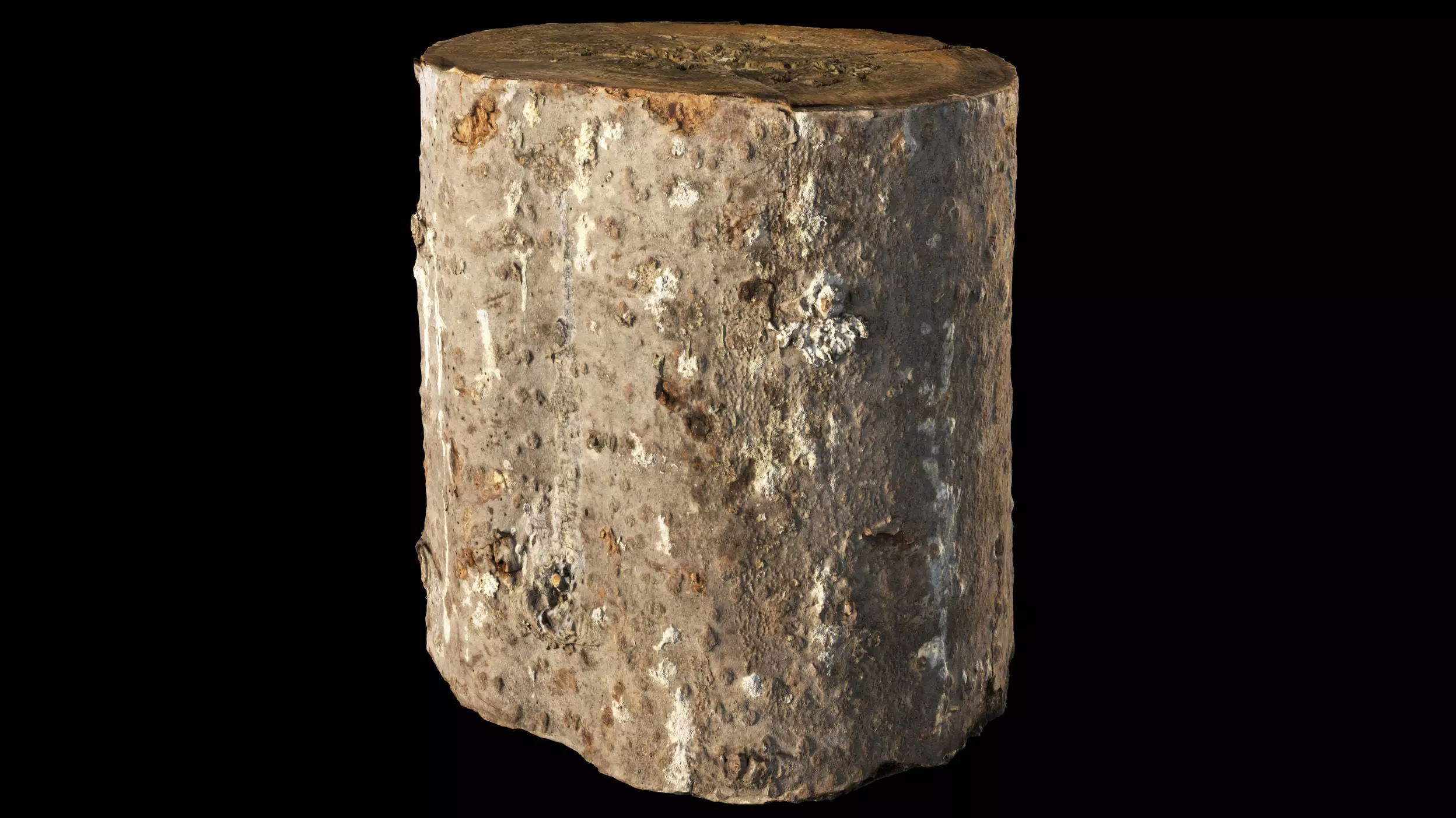 Fir stump for splitting firewood Low-poly 3D model_0