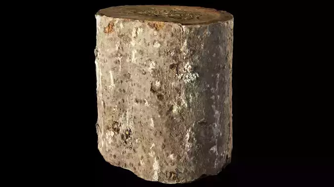 Fir stump for splitting firewood