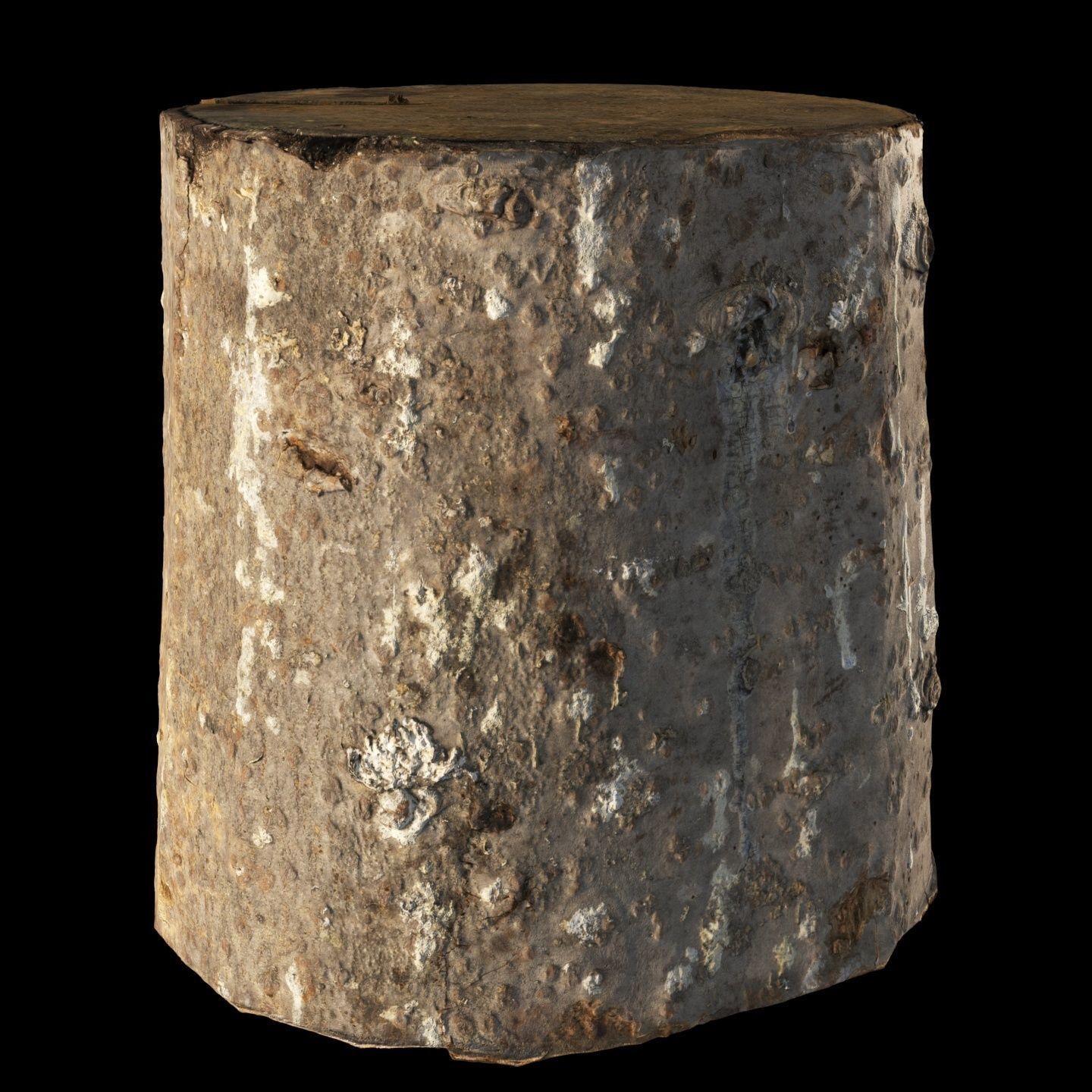 Fir stump for splitting firewood Low-poly 3D model_14