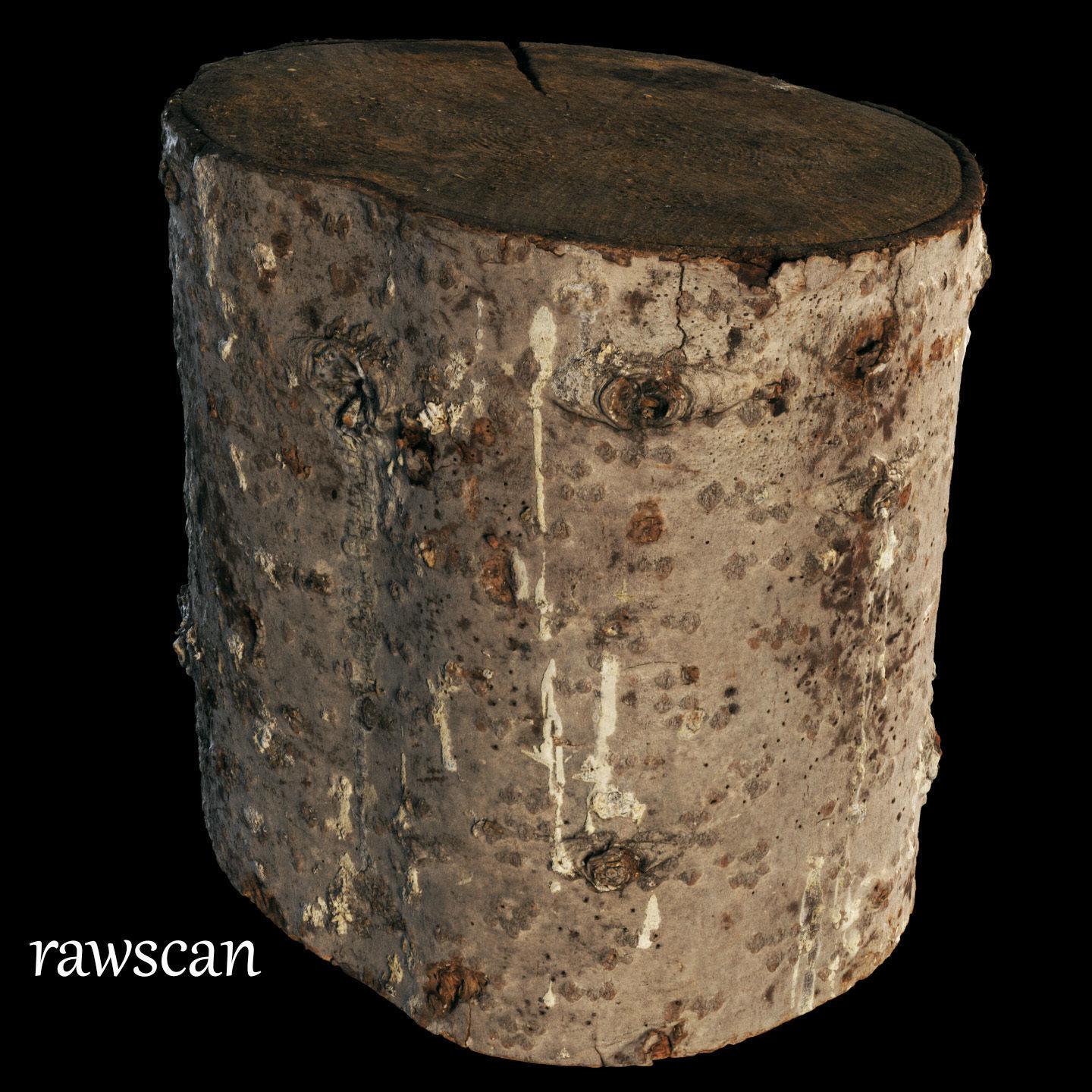 Fir stump for splitting firewood Low-poly 3D model_19