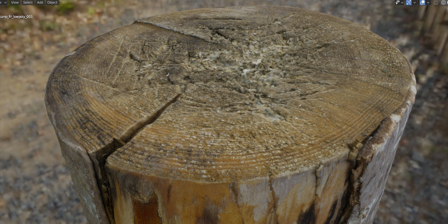 Fir stump for splitting firewood Low-poly 3D model_27