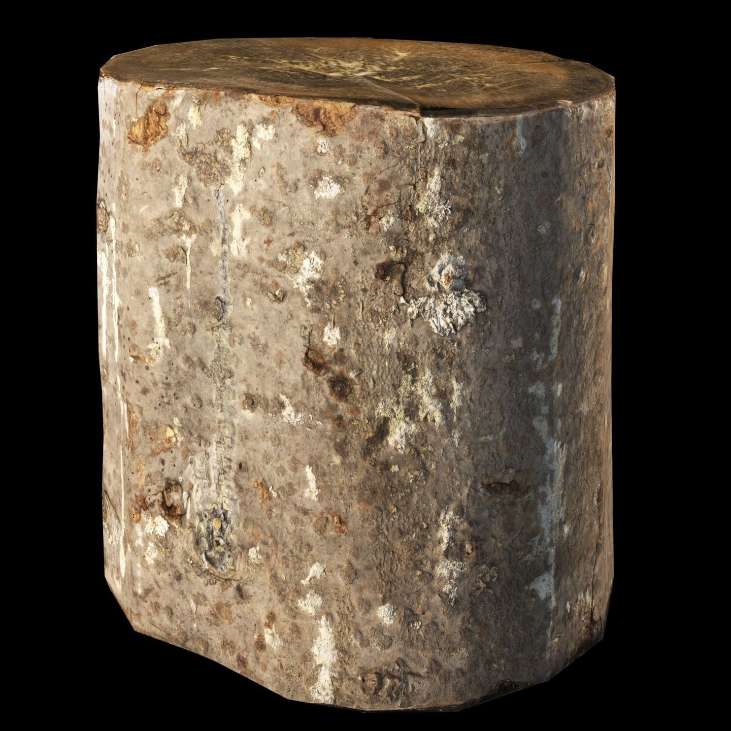 Fir stump for splitting firewood Low-poly 3D model_8